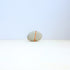 stone+glass : w-08-114